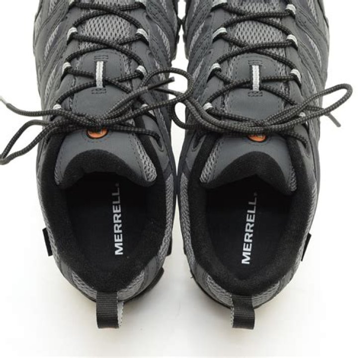 Ahmad Shariatzadeh Net Worth: Career, Home, Age, Income, All You Need to Know - SarkariResult