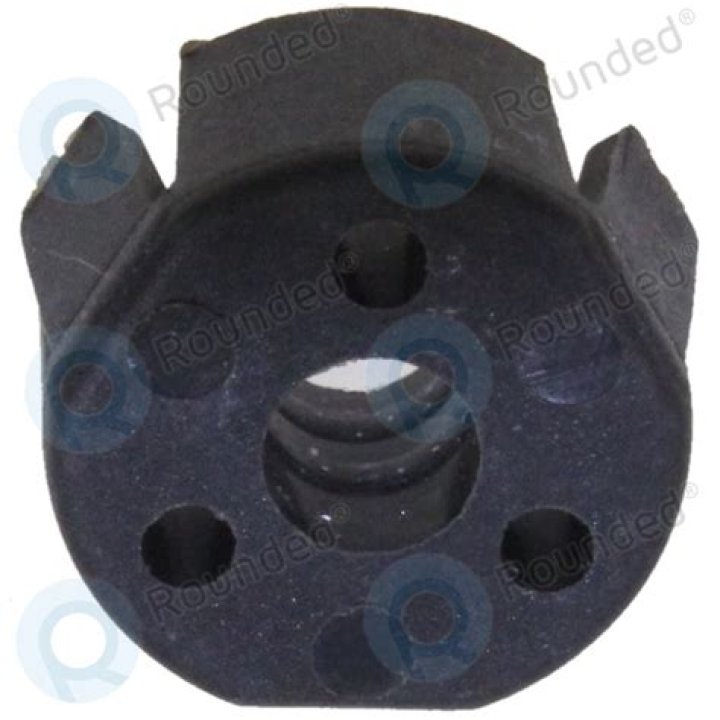 Paleo Pines: How To Tame Desert Dinosaurs? Know the Process here - SarkariResult