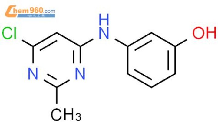 Driver In Crash That Killed 4 Pepperdine Seniors : Who Is The Killer Of The Pepperdine Students? - SarkariResult