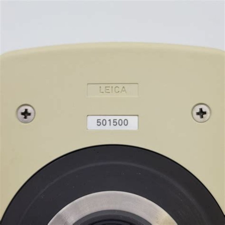 Bruno Romo Net Worth: Career, Home, Age, Income, All You Need to Know - SarkariResult