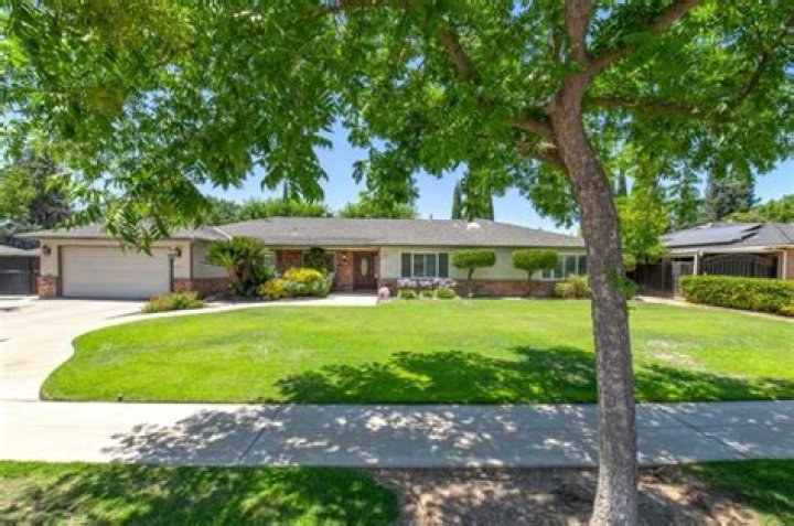 Completing Perrin Quest in Pokemon Scarlet and Violet Indigo Disk: Full Walkthrough - SarkariResult