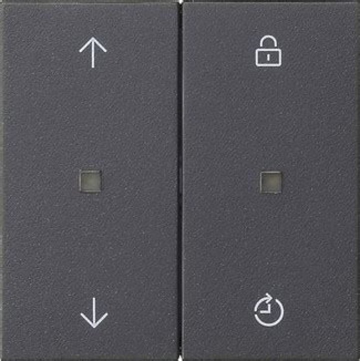 How to Fix Nutritionix Track App Not Working Issue? - SarkariResult