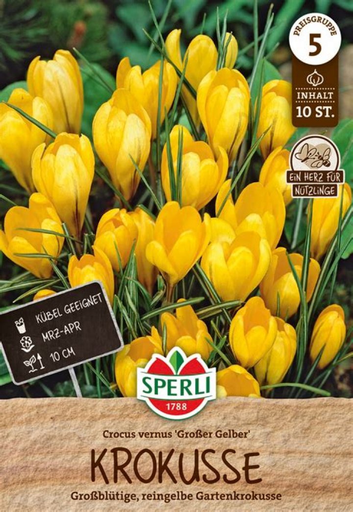 How To Fix Microsoft 365 Not Working Issue? - SarkariResult