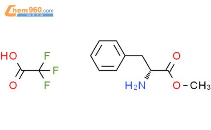 Matthew Modine Net Worth: Career, Home, Age, Income, All You Need to Know - SarkariResult