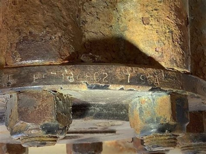 Madison Marsh: All Details About Age, Career, Parents, and More - SarkariResult