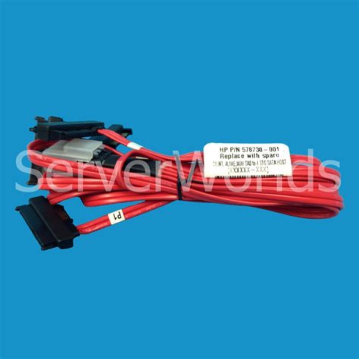 Anna Kalinskaya's Relationship Status: Exploring Whether She Is Married, Know More About Anna Kalinskaya. - SarkariResult