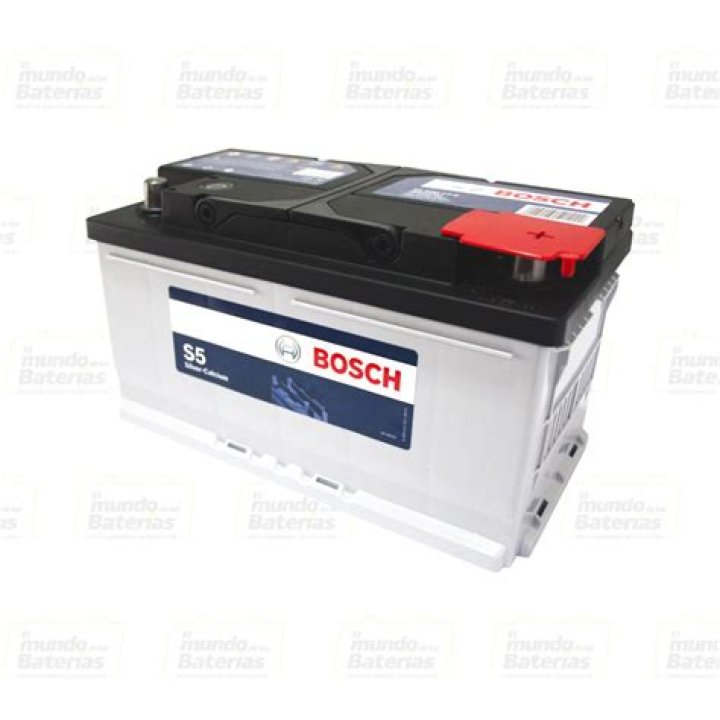 Nikola Soldo Net Worth: Career, Family, Age, Income, Wiki, Bio, All You Need to Know - SarkariResult