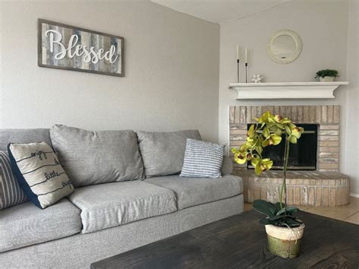 What is Jared McCain's Sexual Orientation? Discover Jared McCain's Biography, Age, Height, Relationship Status, Net Worth, Instagram, and More. - SarkariResult