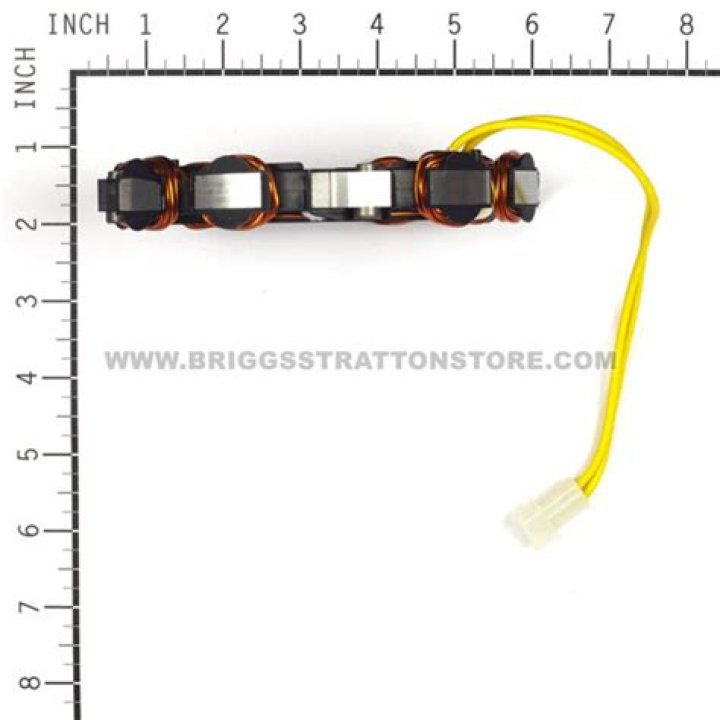 Tiago Volpi Net Worth: Career, Family, Age, Income, Wiki, Bio, All You Need to Know - SarkariResult