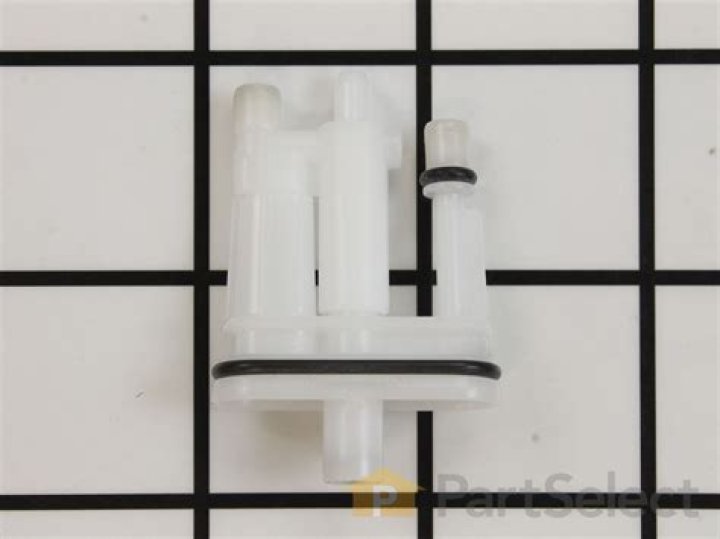 What Happened to Angelina From Jersey Shore? Is She Meet Her Father? Who is Angelina Pivarnick? - SarkariResult