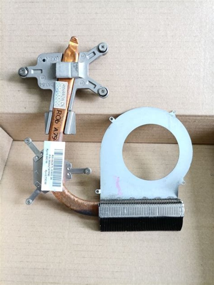 Who Is Tristan Jass’s Girlfriend Hannah Stone? A Dive Into Social Media, Romance, And Basketball - SarkariResult