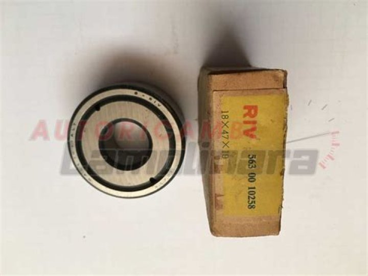 Woody Paige's Health Update: What happened to Woody Paige? Which type of health issue / Illness he have? - SarkariResult