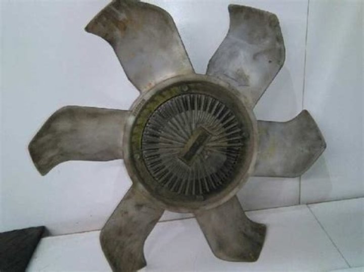 Jenn Im New Boyfriend: Relationship And Divorce News - SarkariResult