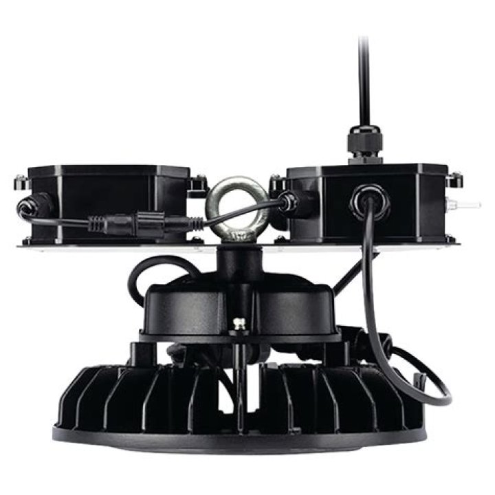 Who Is Rebecca Grossman? Socialite Rebecca Grossman Found Guilty In Crash That Killed 2 Boys - SarkariResult