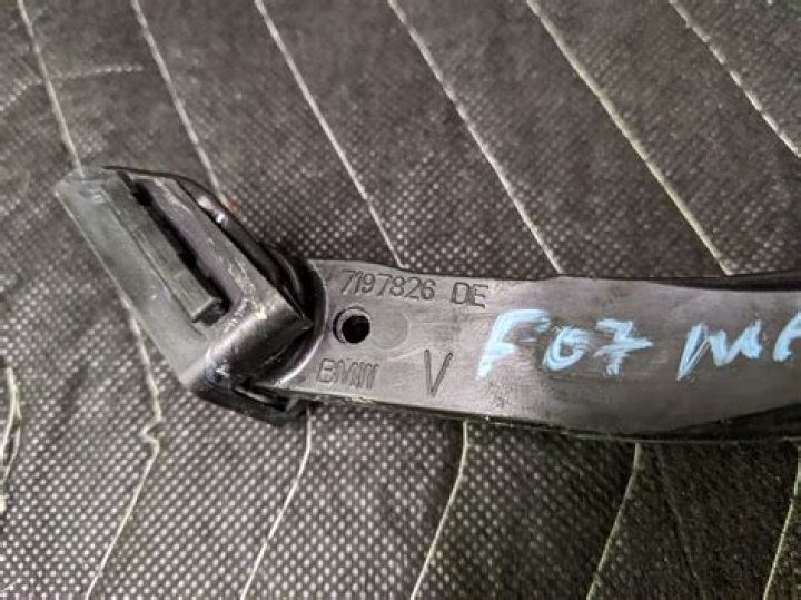 Are Arabella and Adam Still Together? Who are Arabella and Adam? - SarkariResult