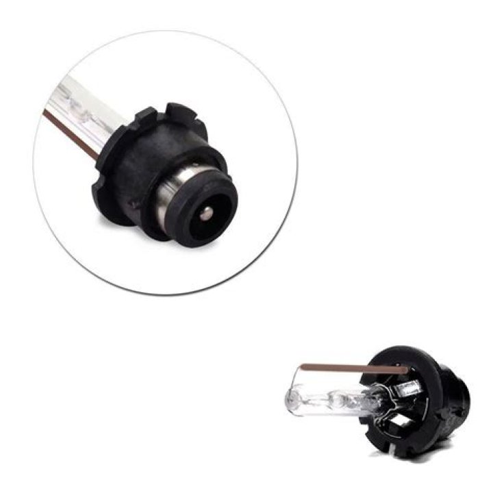 Pattie Boyd Net Worth: Career, Family, Age, Income, Wiki, Bio, All You Need to Know - SarkariResult