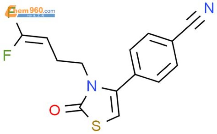 Is Tom Brady Dating Chris From Mr Beast? Who are Tom Brady and Chris? - SarkariResult