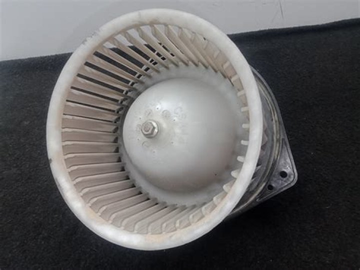 Kristin Kreuk Husband, Is She Married? Family And Ethnicity - SarkariResult