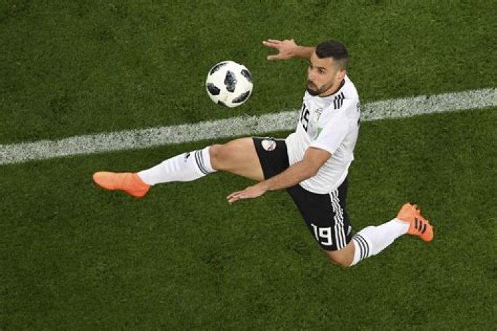 
Abdallah El Said Height, Weight, Net Worth, Age, Birthday, Wikipedia, Who, Instagram, Biography 