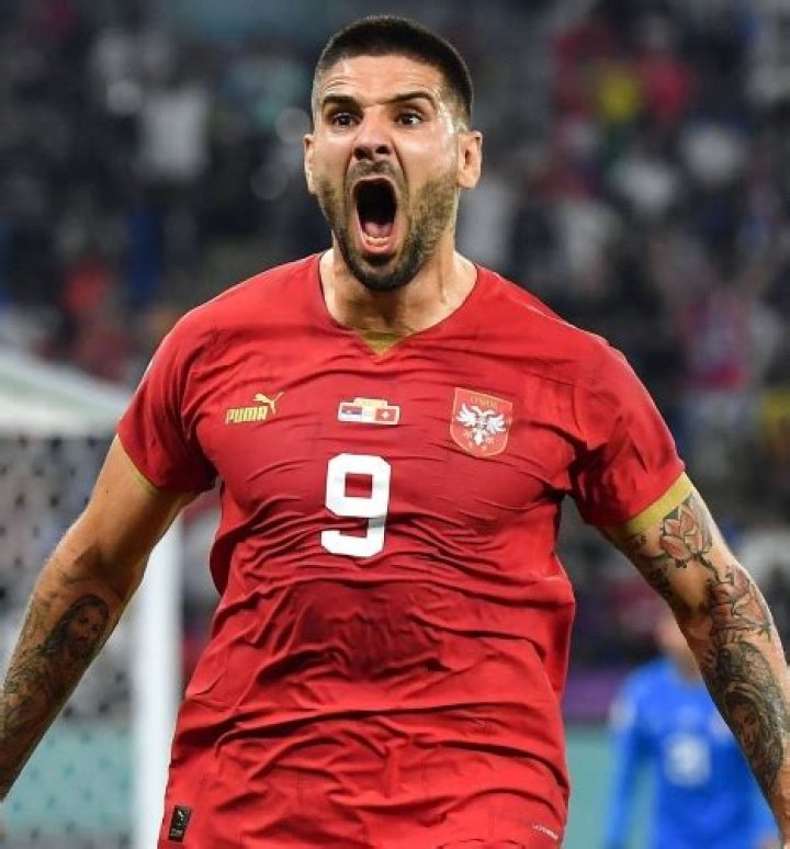 Aleksandar Mitrovic Height, Weight, Net Worth, Age, Birthday, Wikipedia, Who, Nationality, Biography