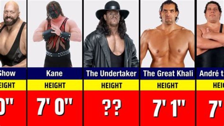 Alexander Kane Height, Weight, Net Worth, Age, Birthday, Wikipedia, Who, Nationality, Biography