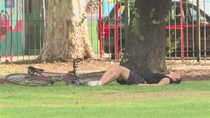 Alyse Mandel Kenny Net Worth