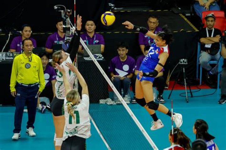 
Angel Canino Height, Weight, Net Worth, Age, Birthday, Wikipedia, Who, Nationality, Biography 