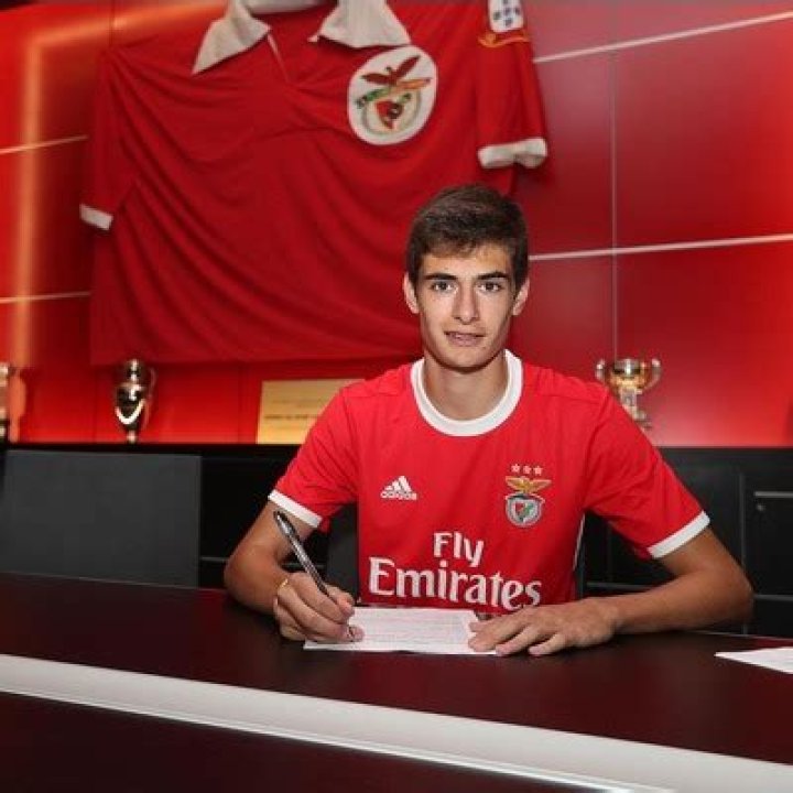 Antonio Joao Silva Height, Weight, Net Worth, Age, Birthday, Wikipedia, Who, Instagram, Biography