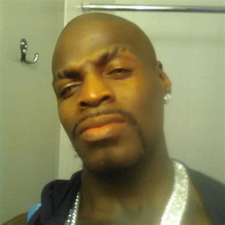 Arvin Silk Stevens Net Worth