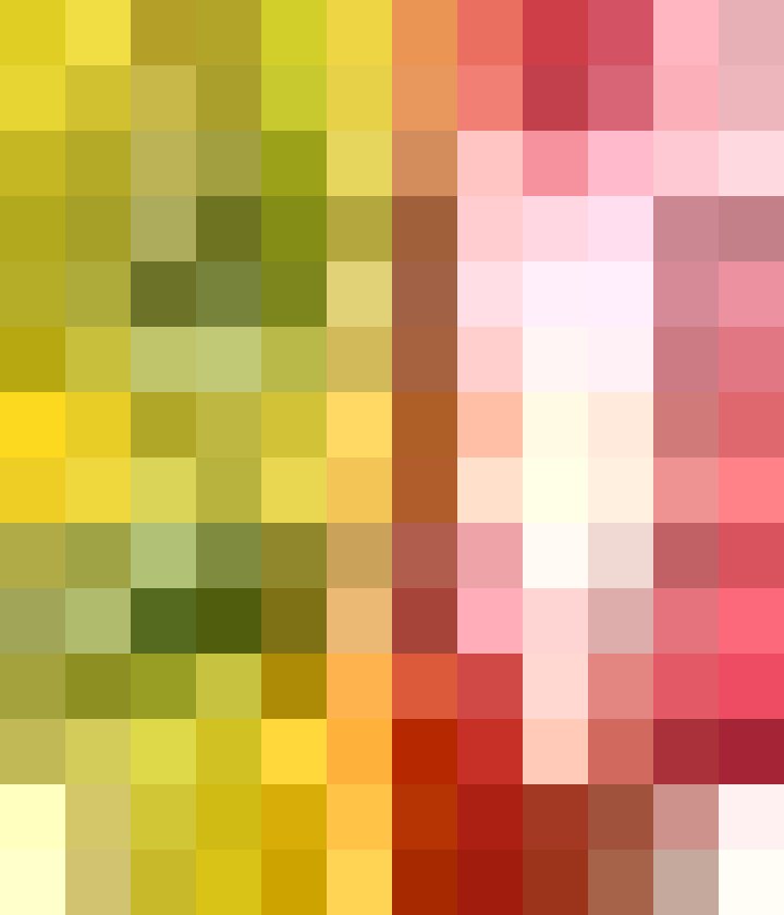 Bernardo Nebel’s biography, net worth, fact, career, awards and life story