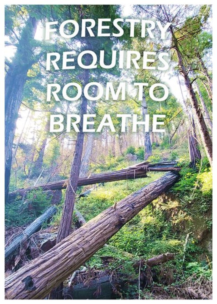 Blaede Court-Suzuki Net Worth