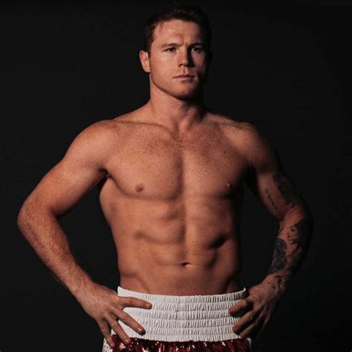 Canelo Alvarez Net Worth