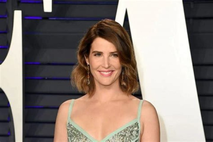 Cobie Smulders Net Worth