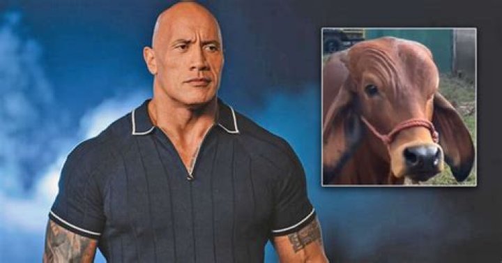 Dwayne Johnson Reacts Cow Doing His Iconic Smoulder