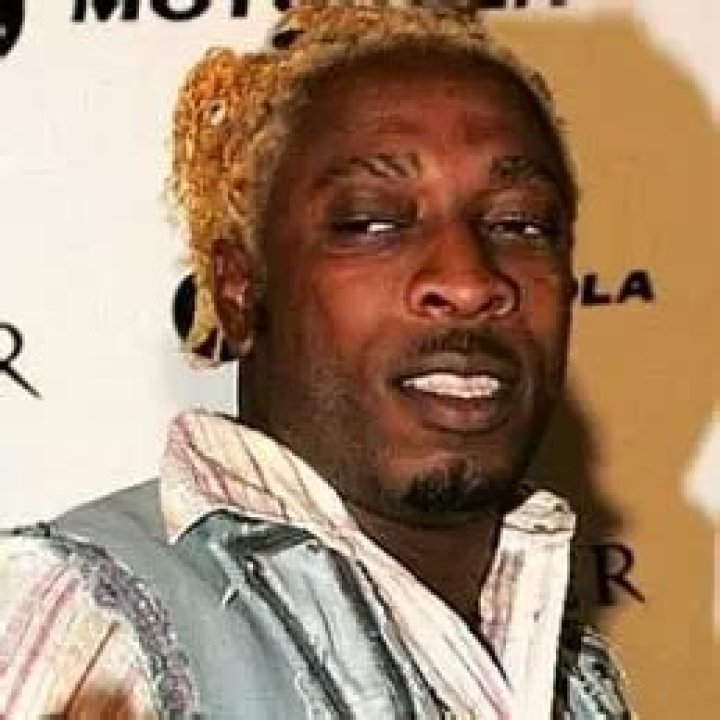 Elephant Man Net Worth