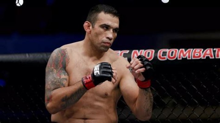 Fabrício Werdum Net Worth