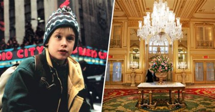 Fans Recognize Ally Sheedy As Airport Lady In Home Alone 2