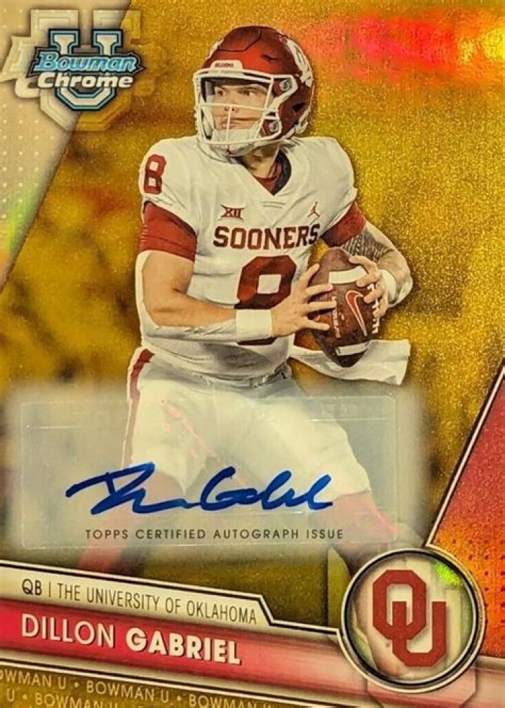 Gabriel Dillon-Bowman Net Worth