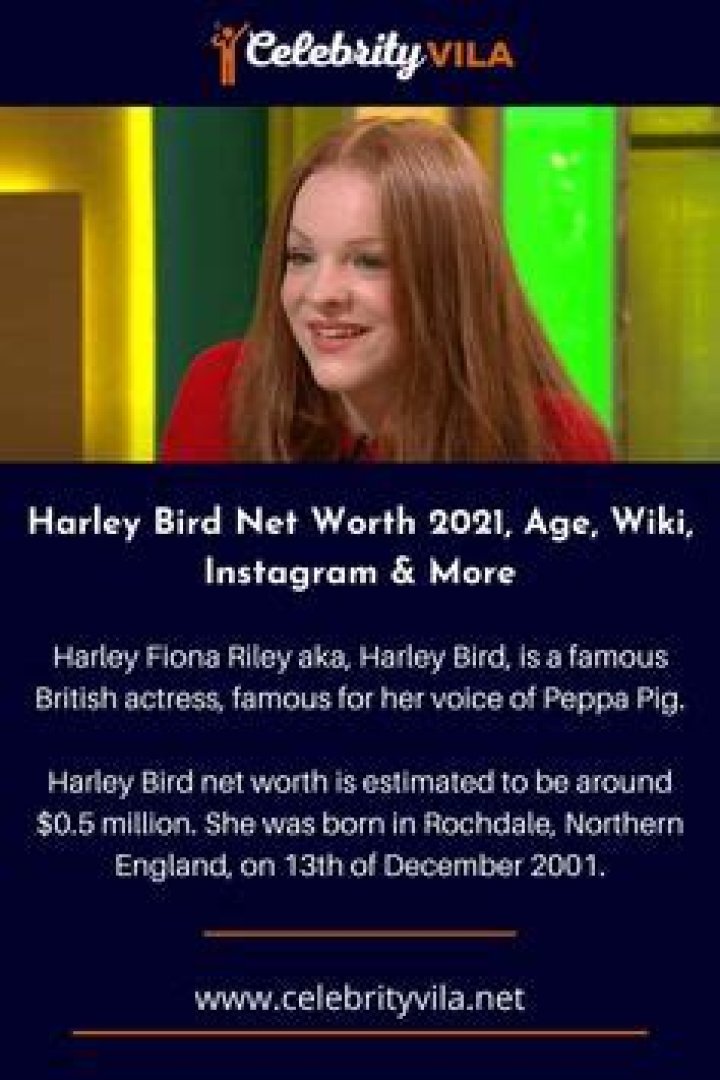 Harley Bird Net Worth
