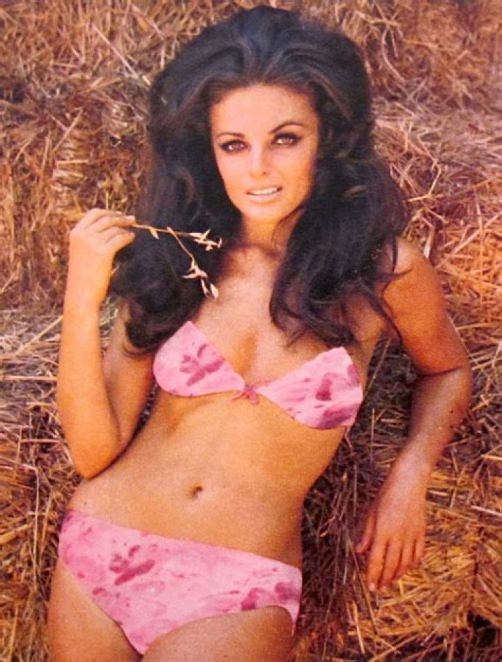 Helena Ronee Net Worth