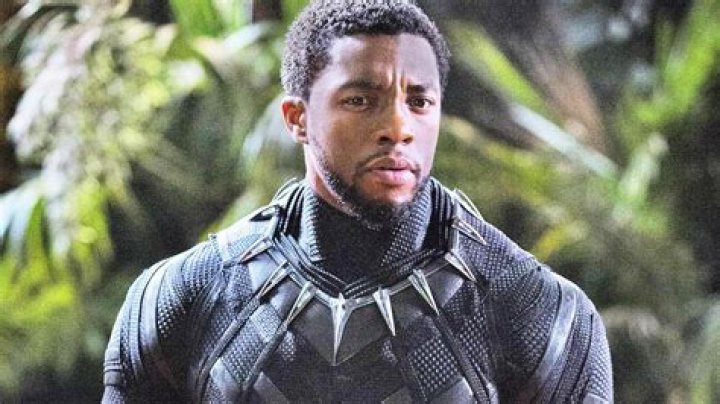
How Did Black Panther Die In Wakanda Forever? Director pays tribute to Chadwick Boseman 
