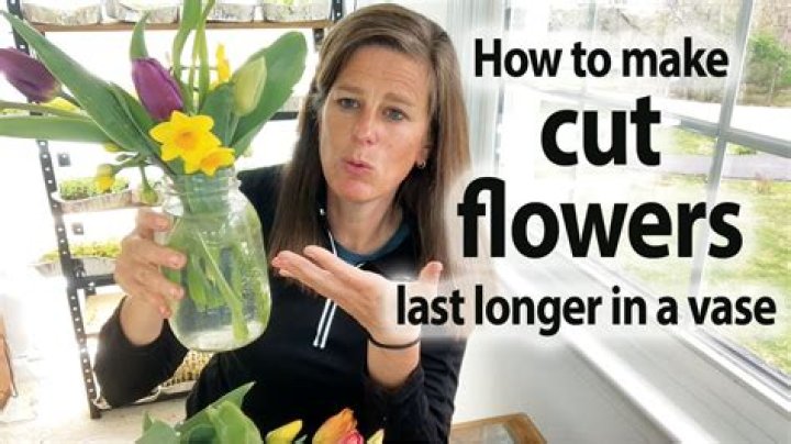 How long do flowers last in water tubes