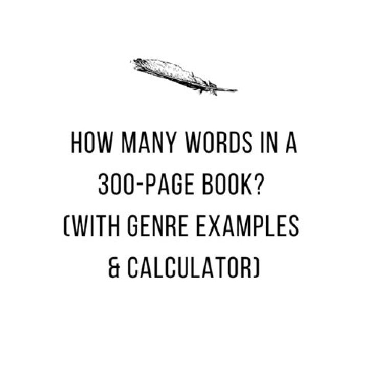 How many words in a 300 page book