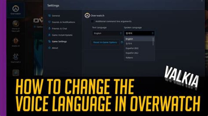 How to change overwatch language
