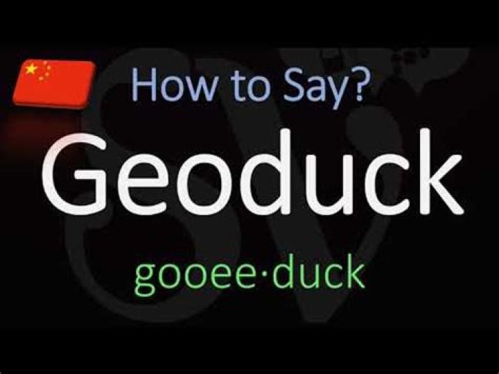 How to pronounce geoduck