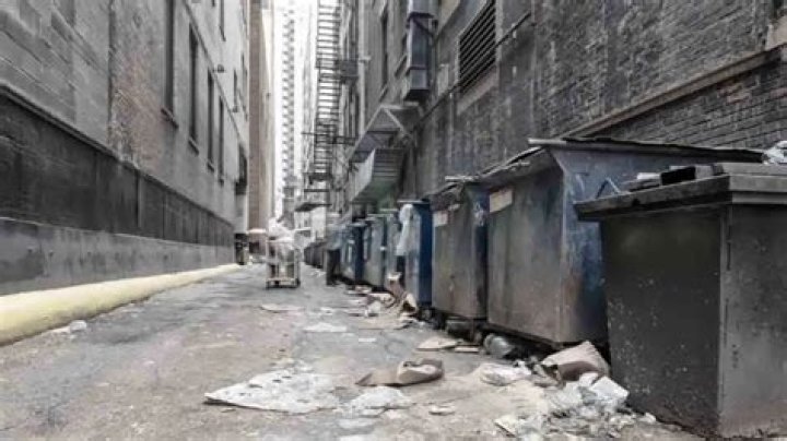 Is dumpster diving illegal in chicago