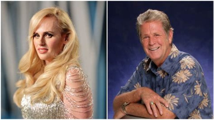 Is Rebel Wilson Related To Brian Wilson? Relationship Explained