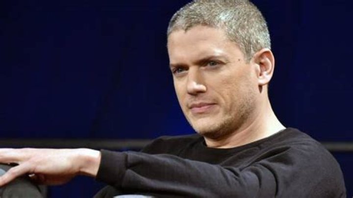 
Is Wentworth Miller Gay and Does He Have a Wife or Partner 