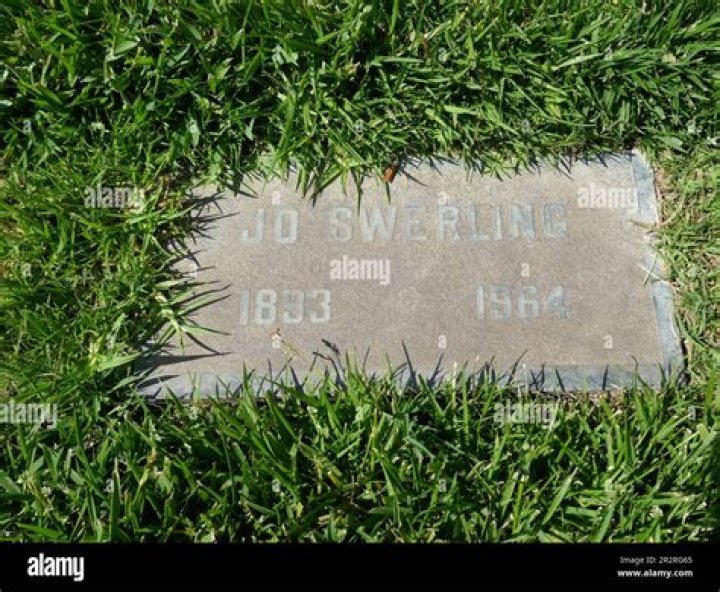 Jo Swerling Jr. Net Worth