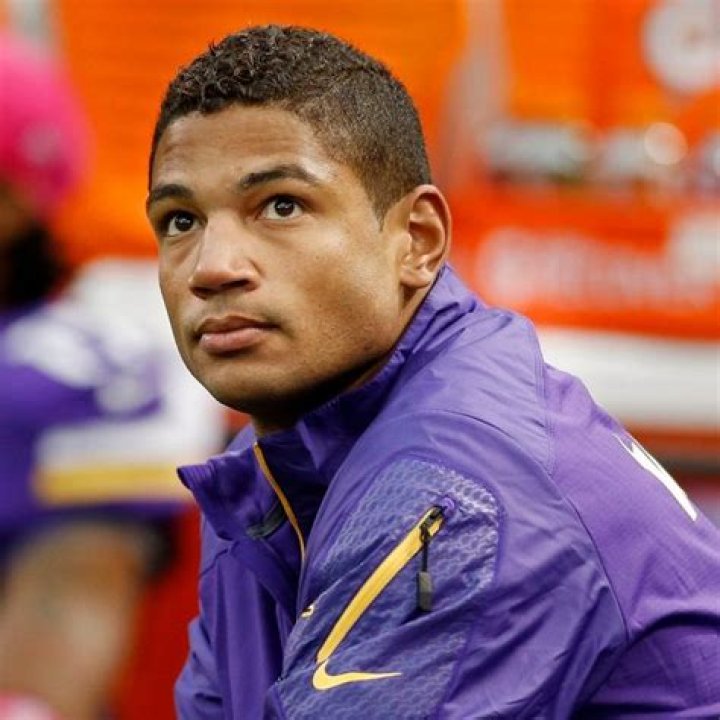 Josh Freeman Net Worth